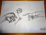 76_Goloman Crina_Sc Sisesti_GIMN